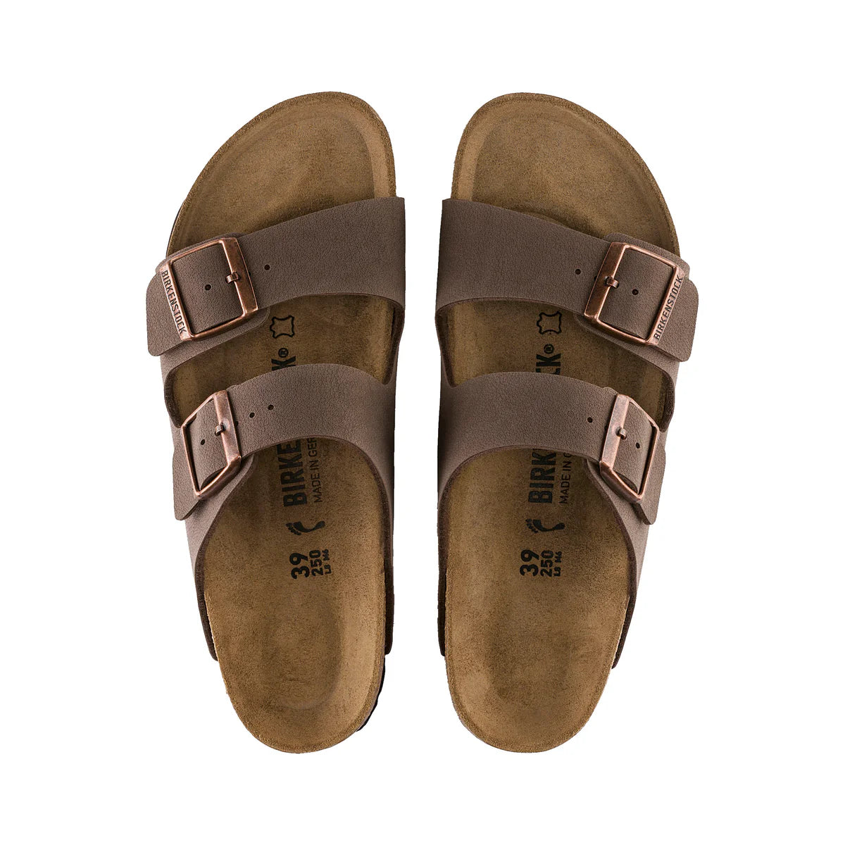 ARIZONA BIRKIBUC REGULAR