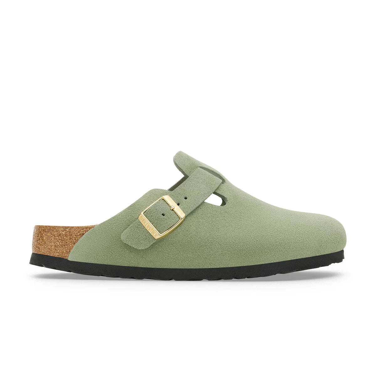 BOSTON SFB GREEN TEA SUEDE LTH REG