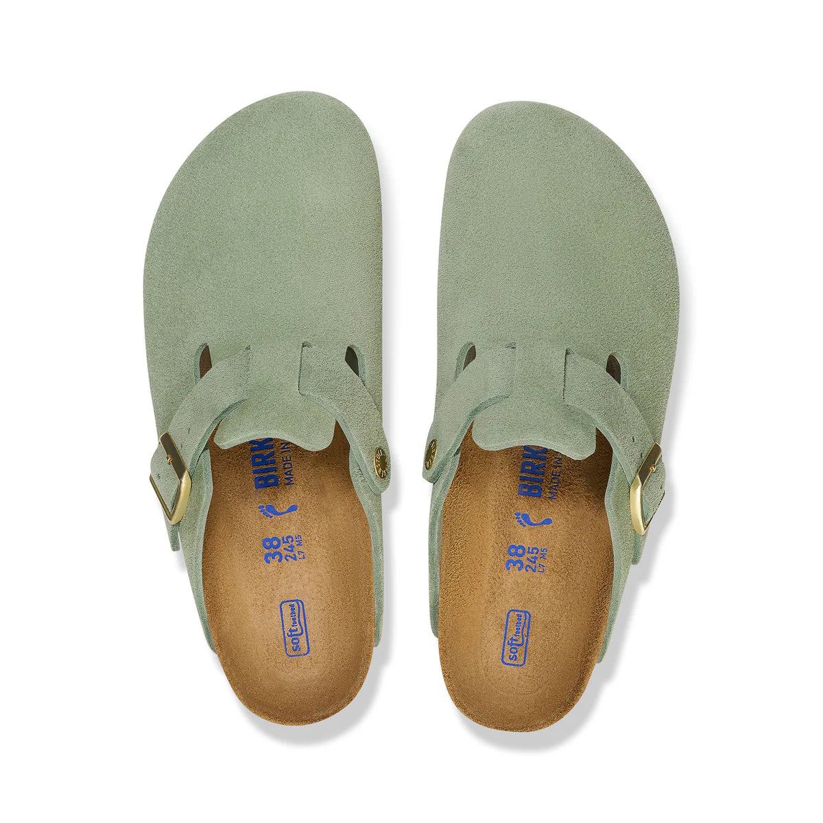 BOSTON SFB GREEN TEA SUEDE LTH REG